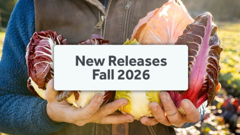 New Releases Fall 2026